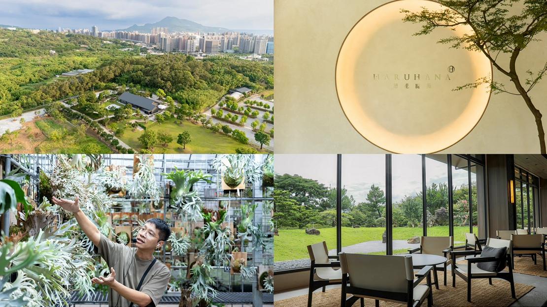 lexus 251217 1 W1110